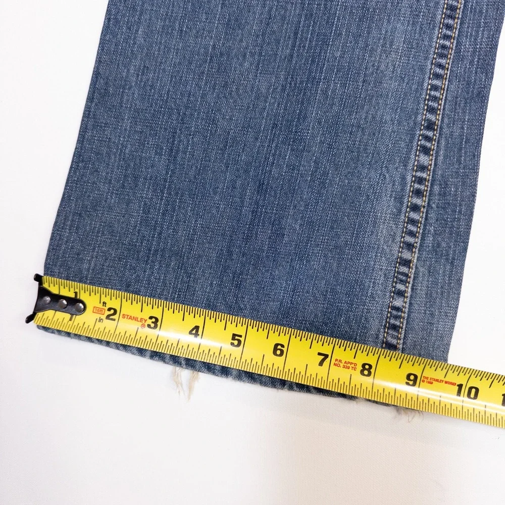 Levis levi 527